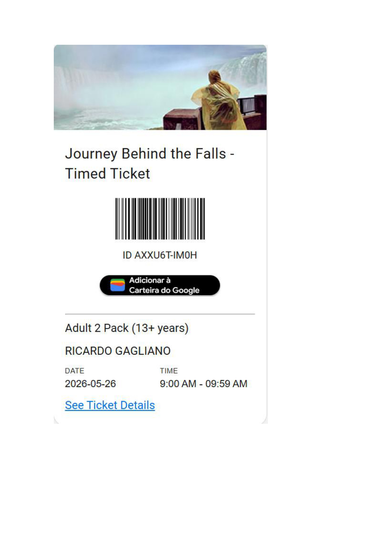 Journey Behind the Falls 1  - página 1